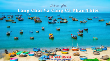 Làng Chài Và Cảng Cá Phan Thiết - Hơi Thở Của Biển Cả Và Những Câu Chuyện Chưa Bao Giờ Kể