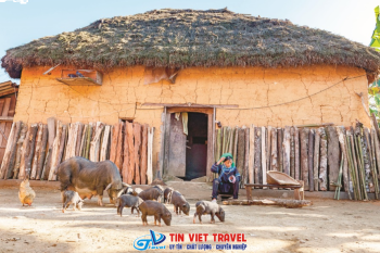 Hơi Thở Của Đất Giữa Đại Dương Mây: Ký Sự Nhà Trình Tường Y Tý & Tuyệt Kỹ Nhiếp Ảnh Cinematic Dành Cho Lữ Khách