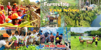 5 Nông Trại Sinh Thái An Toàn Tuyệt Đối Cho Trẻ Mầm Non Tại TP.HCM – Nơi Tuổi Thơ Chạm Vào Đất Mẹ Cùng Tín Việt Travel