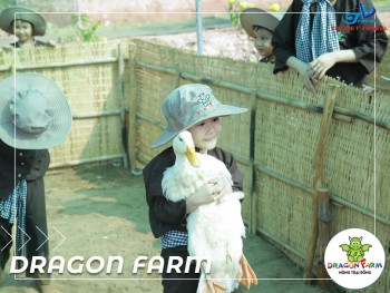 Tour Dragon Farm - Tham quan trải nghiệm nông trại