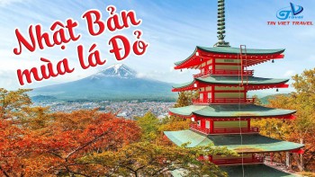 Tour du lịch Nhật Bản - TOKYO - HAKONE - FUJI 4N4Đ
