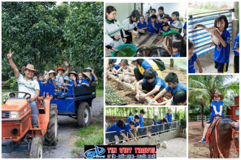 CHƯƠNG TRÌNH TRẢI NGHIỆM "MỘT NGÀY TUỔI THƠ – LỚN LÊN CÙNG THIÊN NHIÊN"