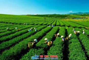 TOUR SƠN TÂY – LÀNG VĂN HÓA CÁC DÂN TỘC – ATK THÁI NGUYÊN