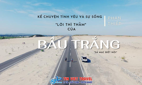 bầu trắng cover