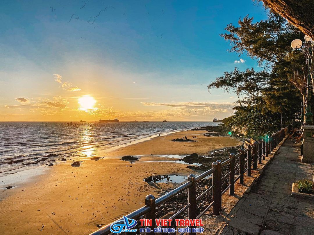bai dau vung tau