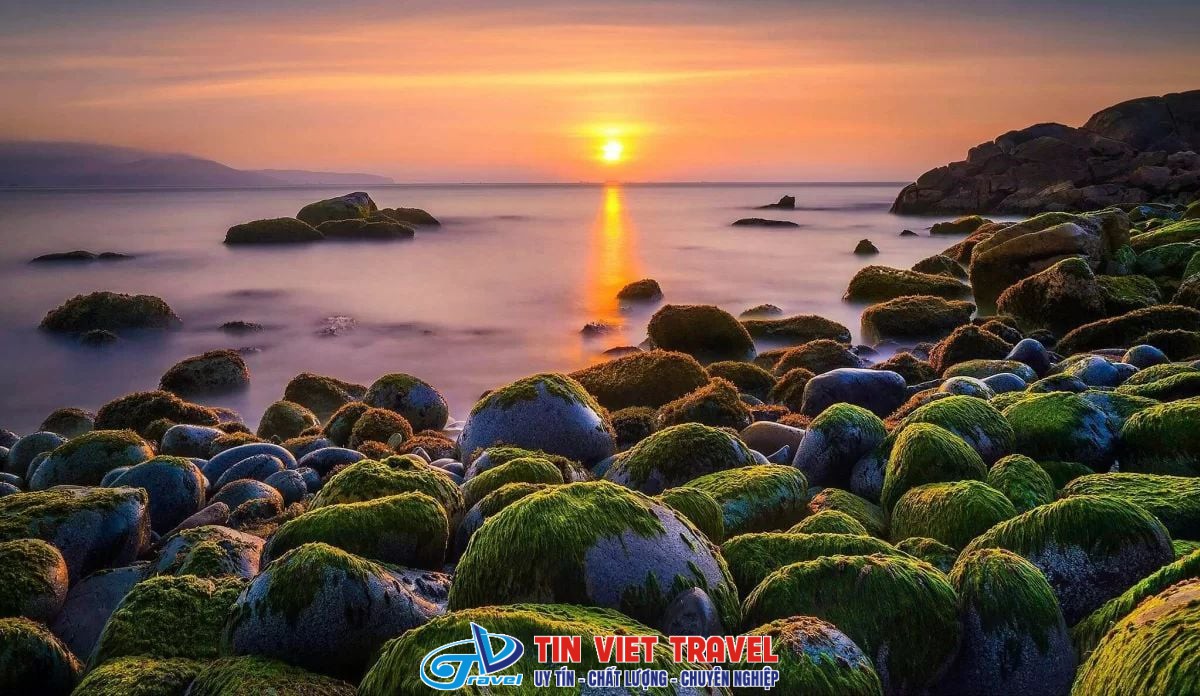 bai tam hoang hau 1