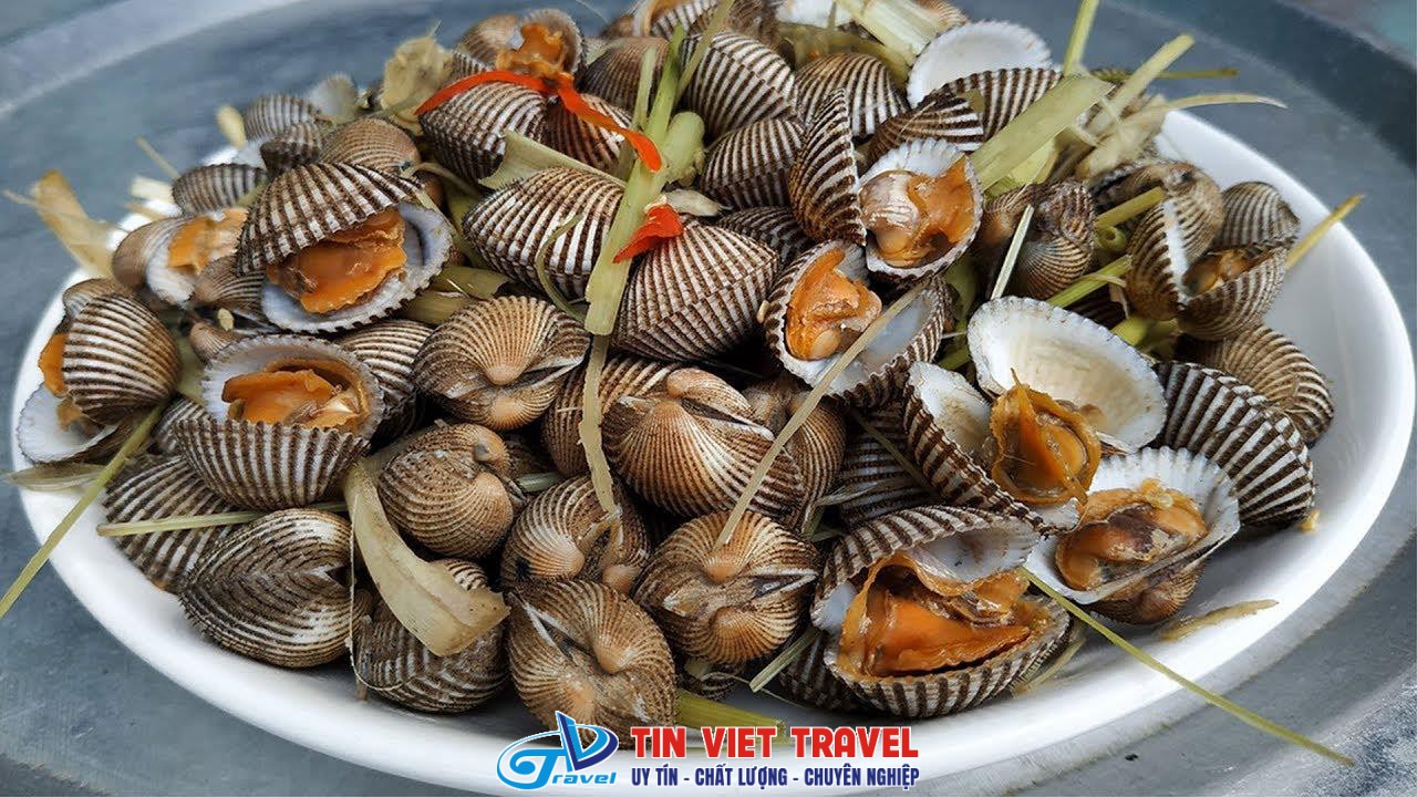 so huyet dam o loan 1