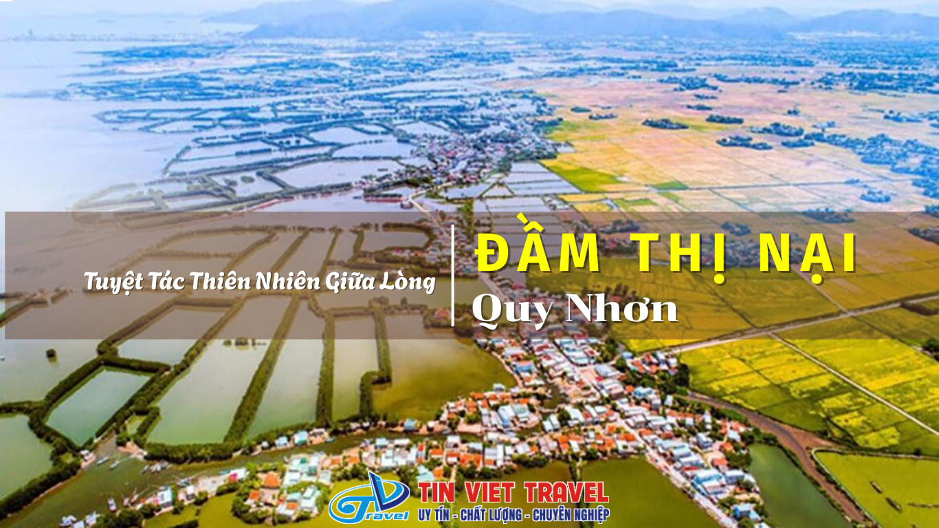 đầm thị nại quy nhơn cover