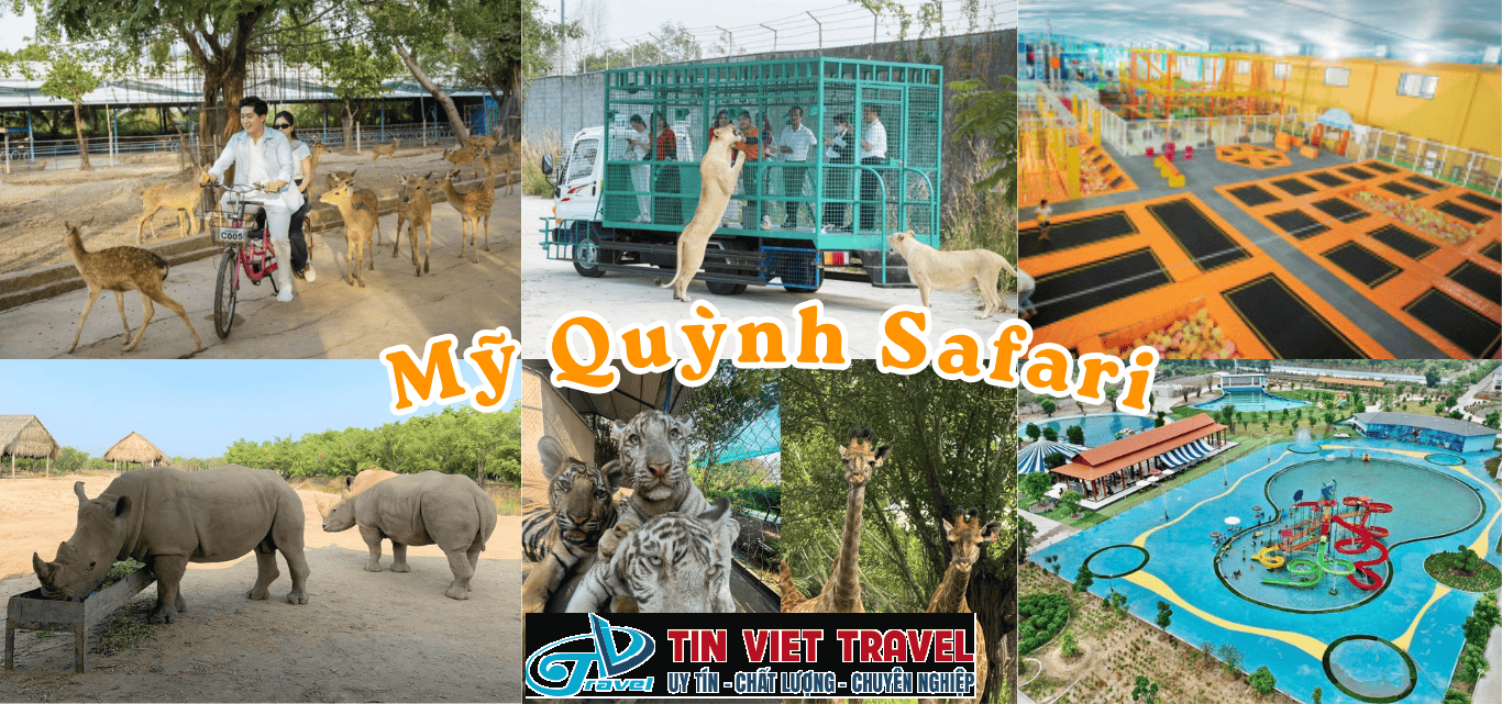 Hành Trình Độc Đáo Tại Vườn Thú Safari Mỹ Quỳnh - Đưa Bạn Đến Gần Hơn Với Thiên Nhiên