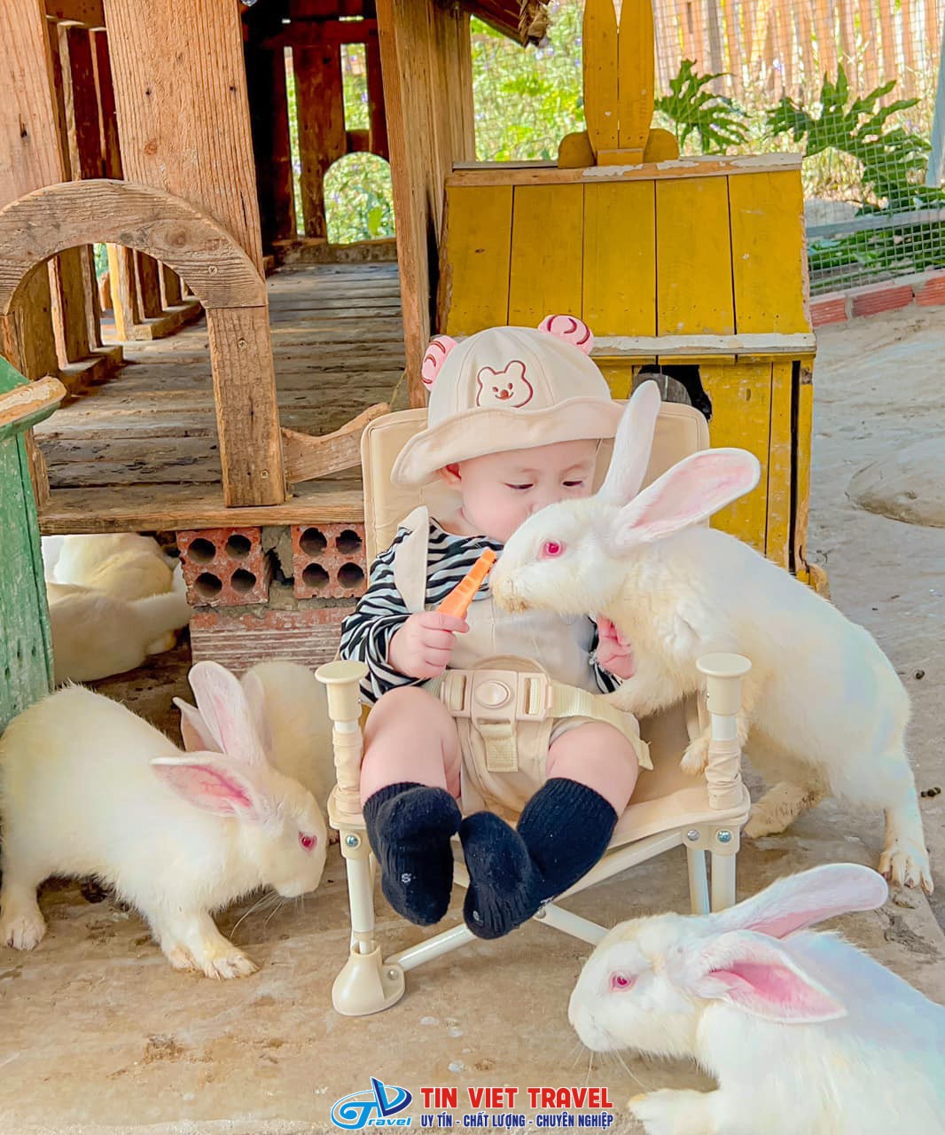 ulalafarm 13