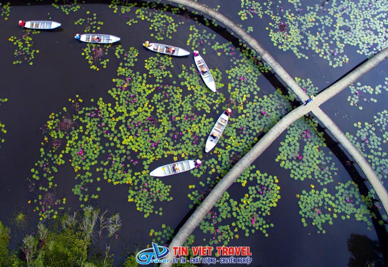 mua nuoc noi long an 1