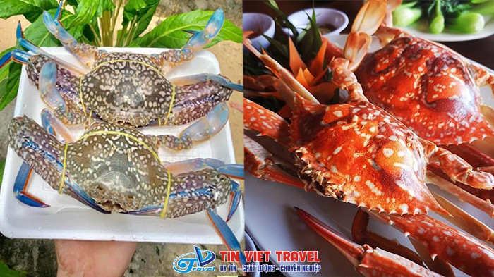 phu quoc ghe ham ninh