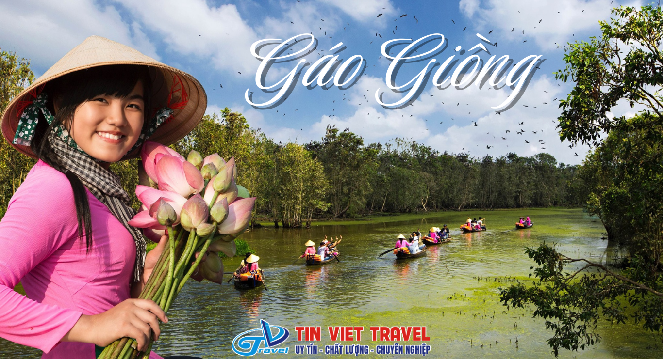 Gáo Giồng – Bức Tranh Hoàn Hảo Của Thiên Nhiên Đồng Tháp Mười