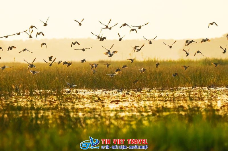 khu du lich sinh thai gao giong 1