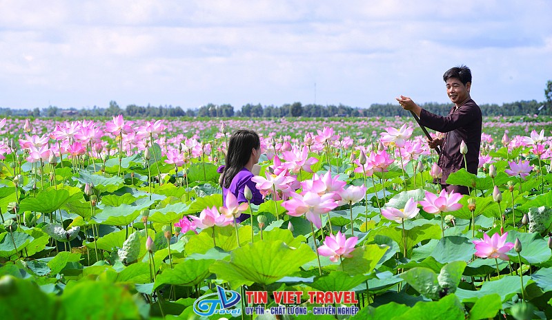 khu du lich tram chim 4