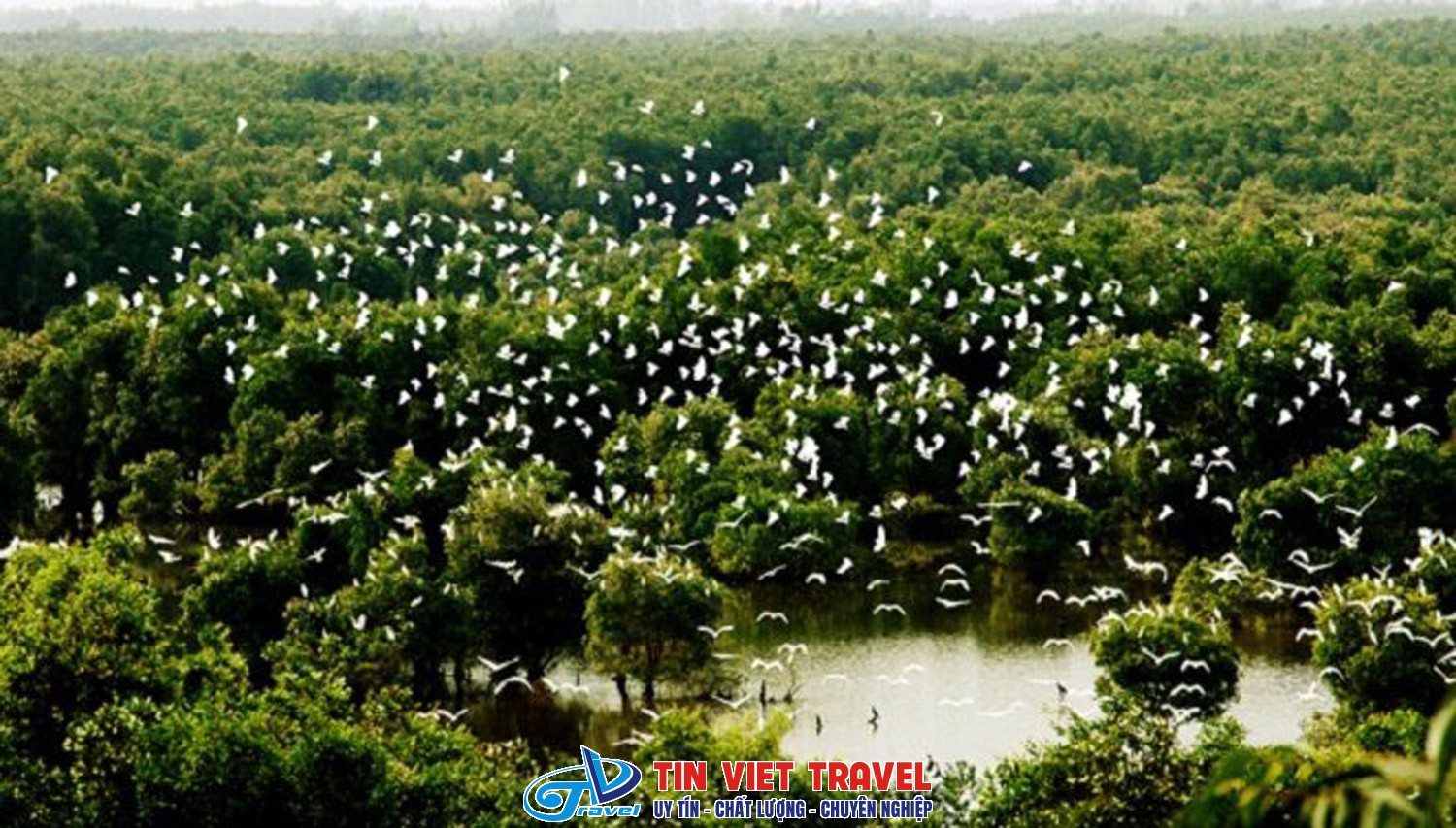 khu du lich tram chim 7