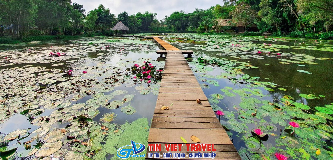 khu du lich xeo quyt 6 jpg