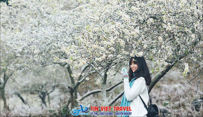 Mộc Châu mùa đông