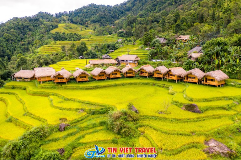 nam hong hoang su phi