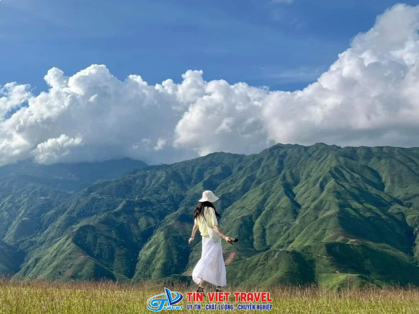 săn mây Tây Bắc 2