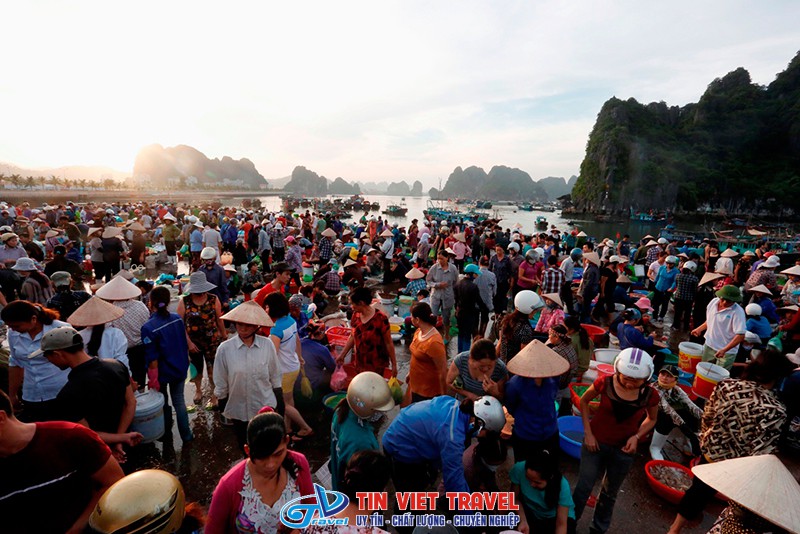 Chợ Hạ Long 1