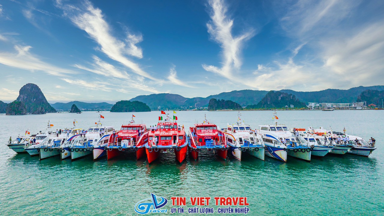 đi tàu ra đảo Cô Tô