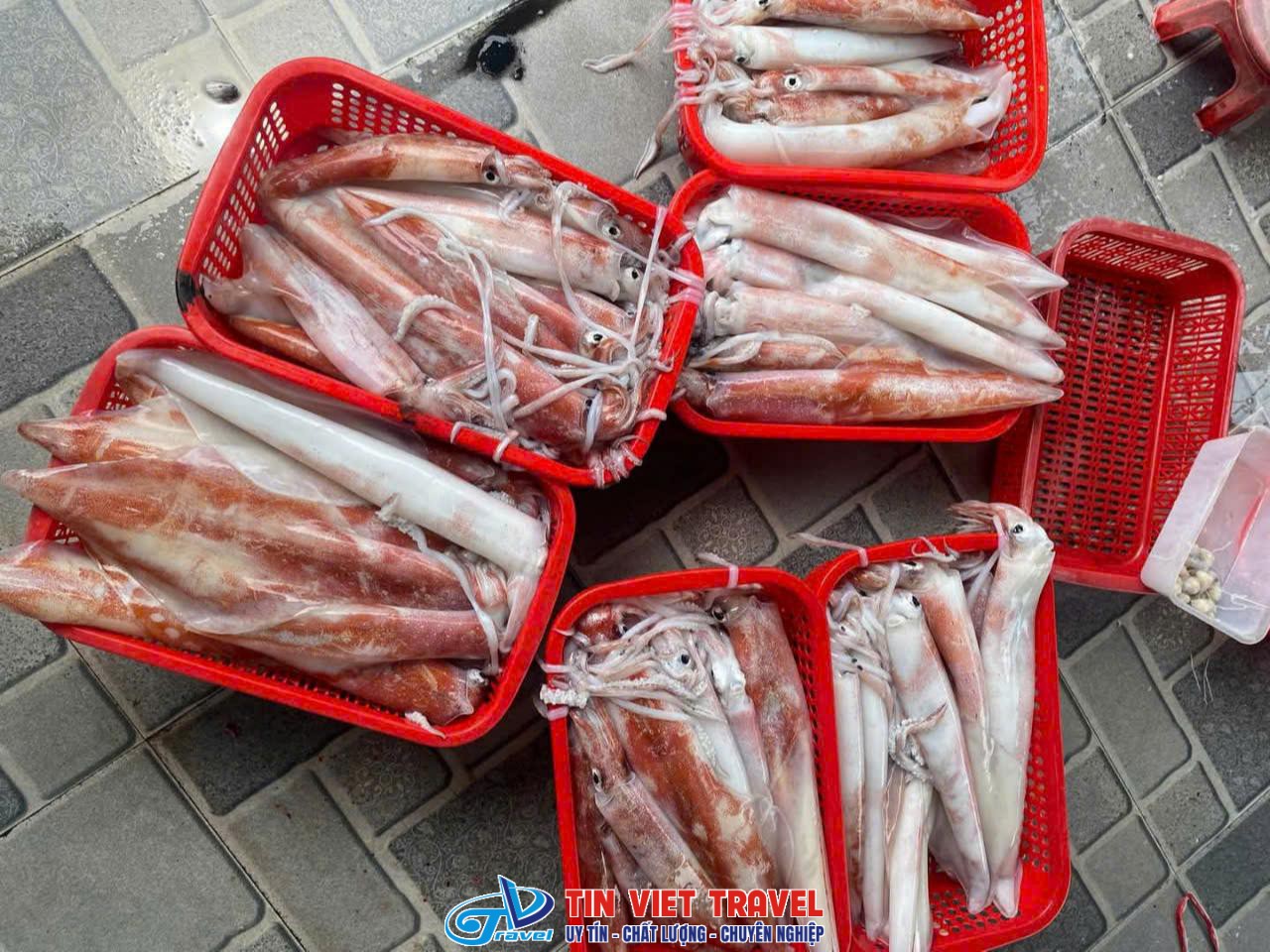 mực nhảy