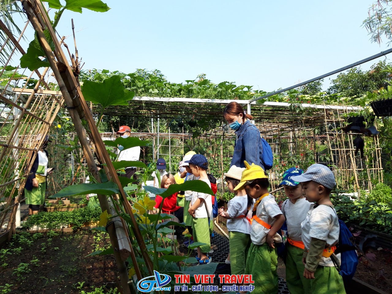 family garden