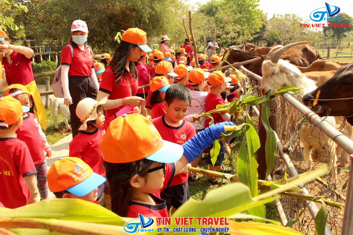 Kịch Bản Tour Nông Nhí 1 Ngày Tại Nông Trang Xanh