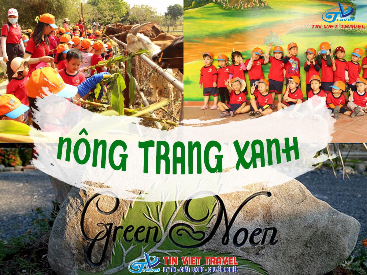 nong trang xanh green noel