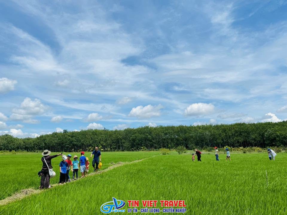 Nông trang xanh