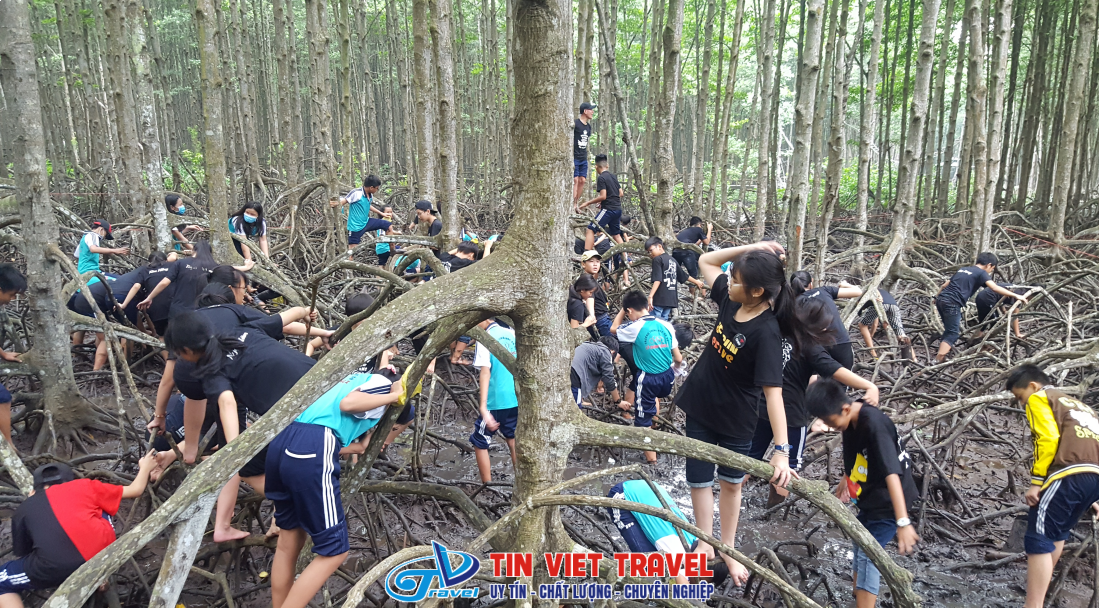 tour học sinh Cần Giờ 1 NGÀY