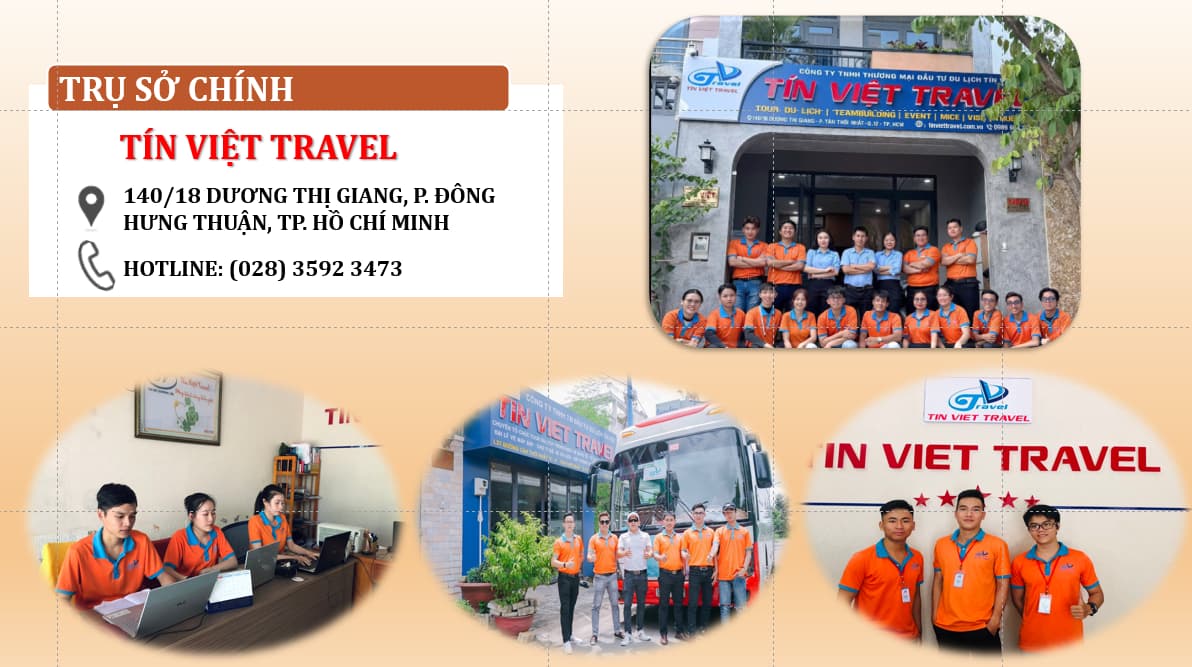 hồ sơ năng lực Tín Việt