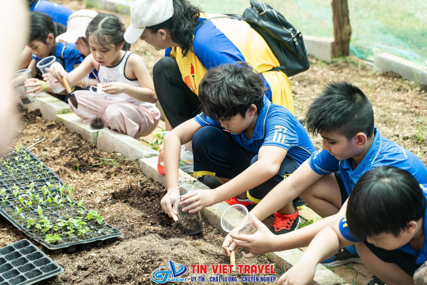 cam my farm 6