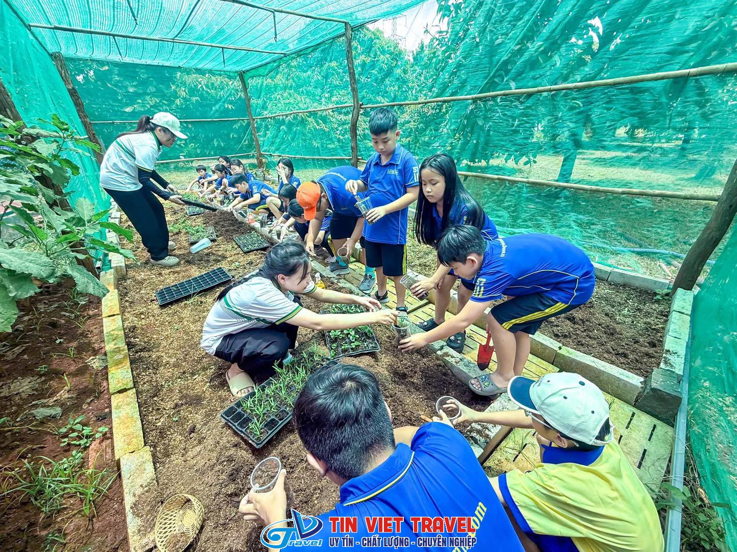 cam my farm 9