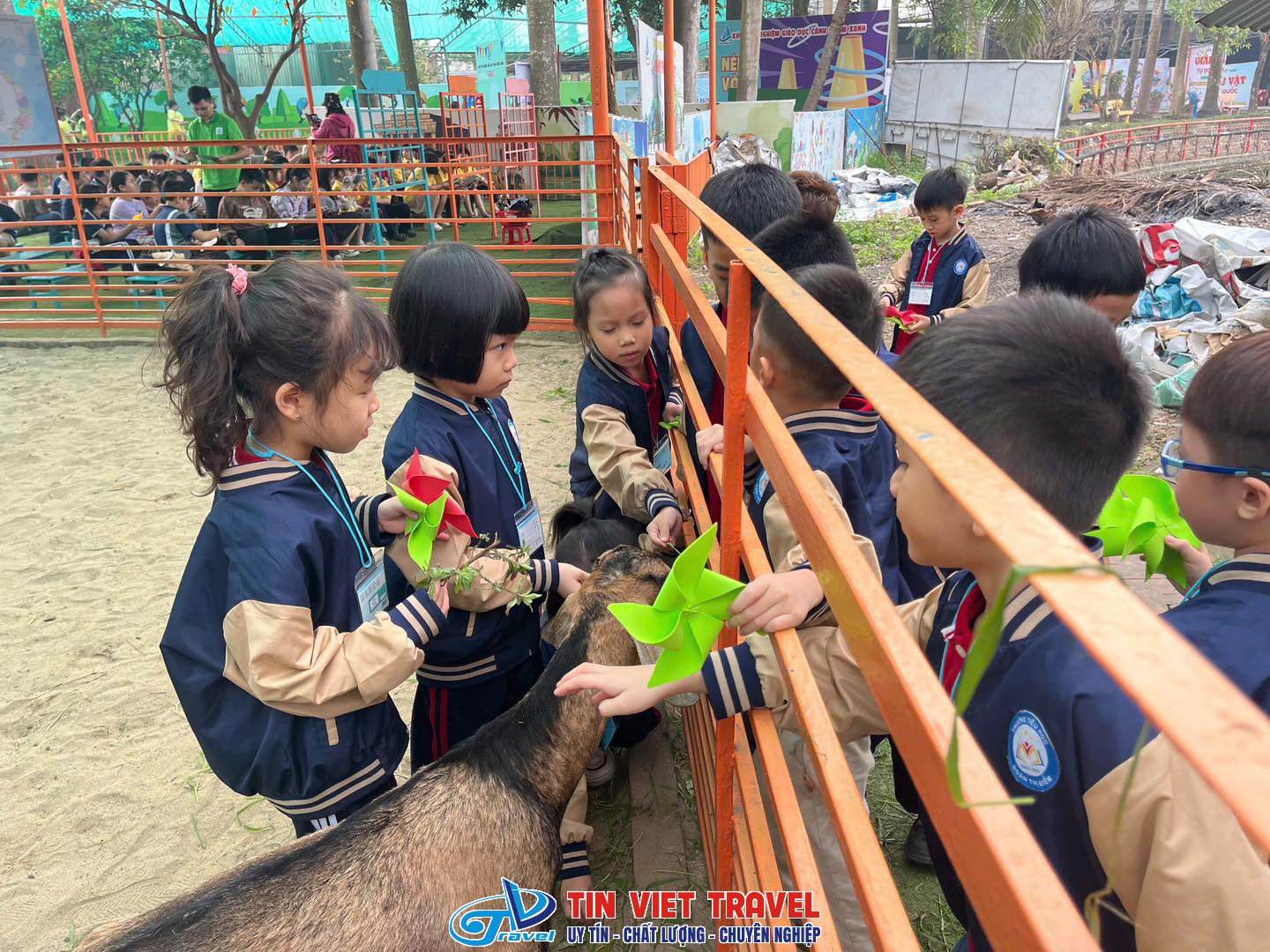 Cánh Buồm Xanh 6