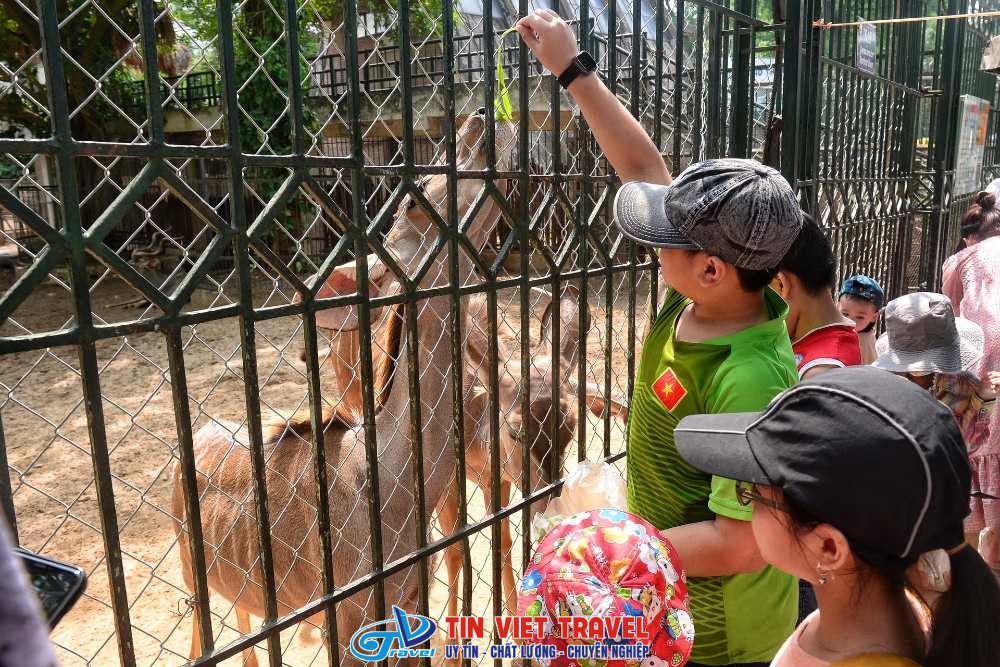 Công viên Thủ Lệ 4