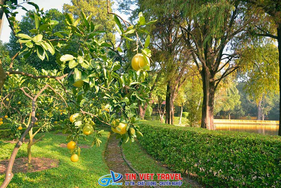vườn cây Bác Hồ
